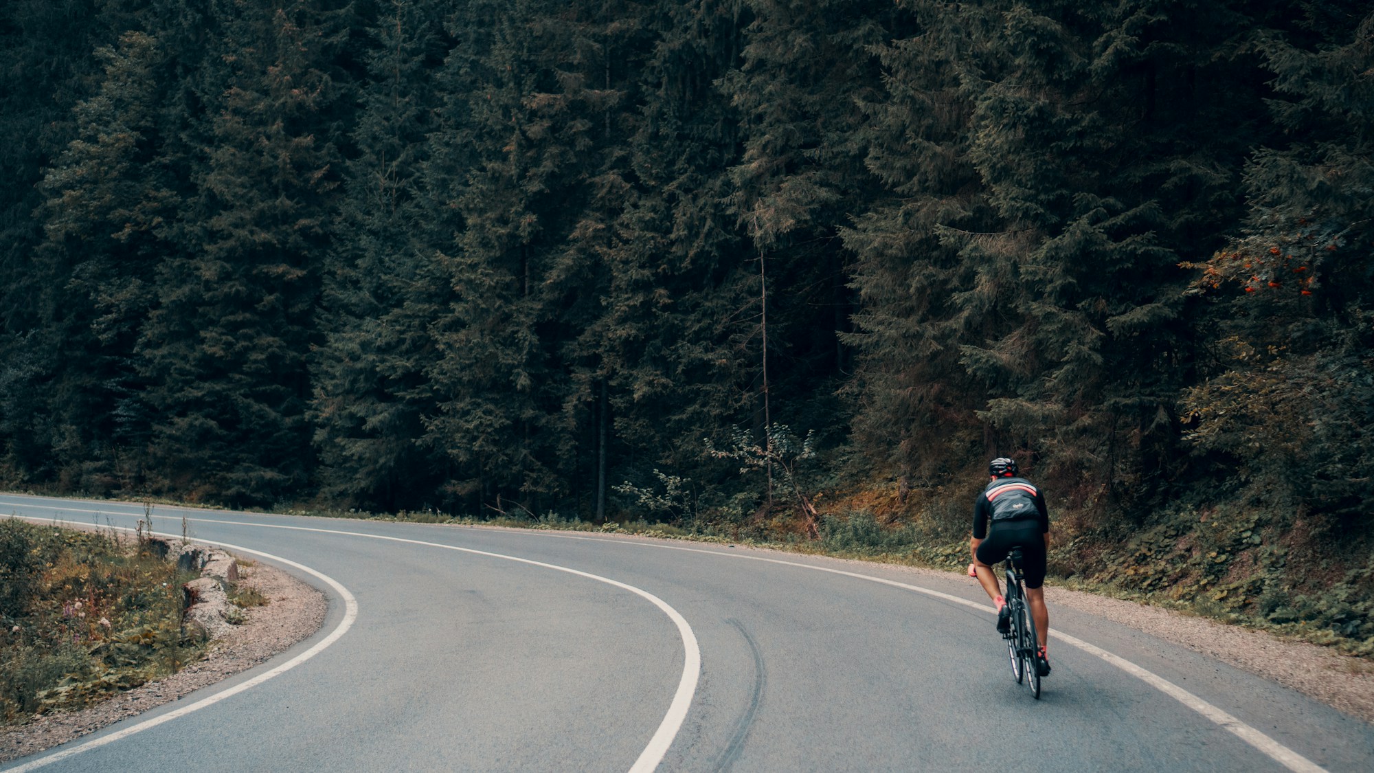 Cyclist training on a forest road